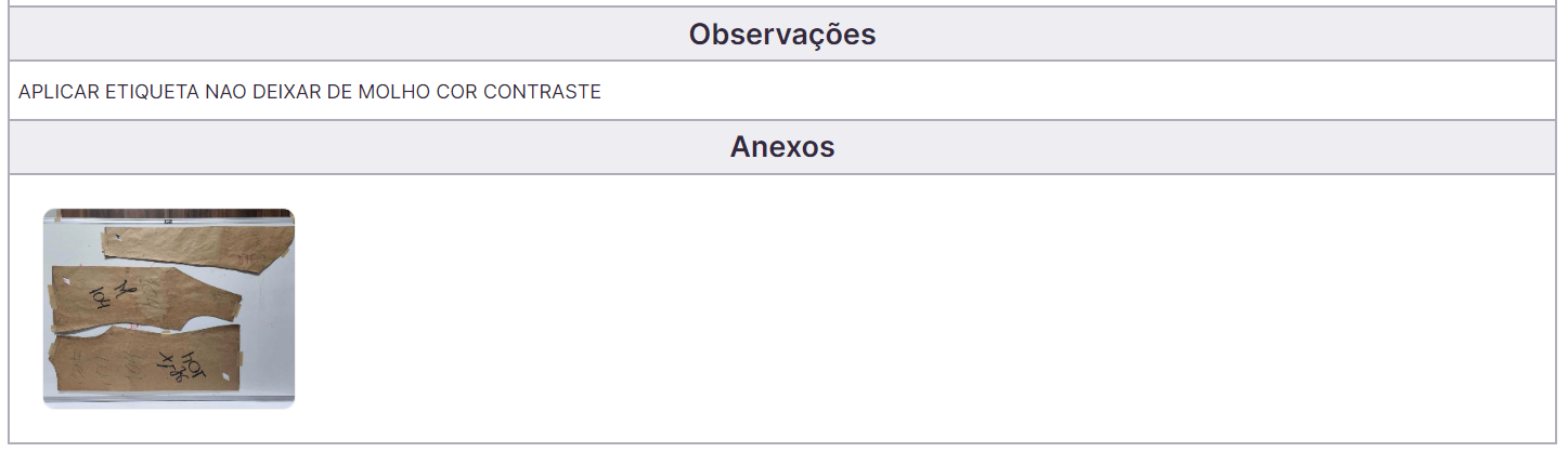 Os processos podem fluir melhor utilizando o campo de observações, anexos e cuidados especiais para inserir informações importantes.